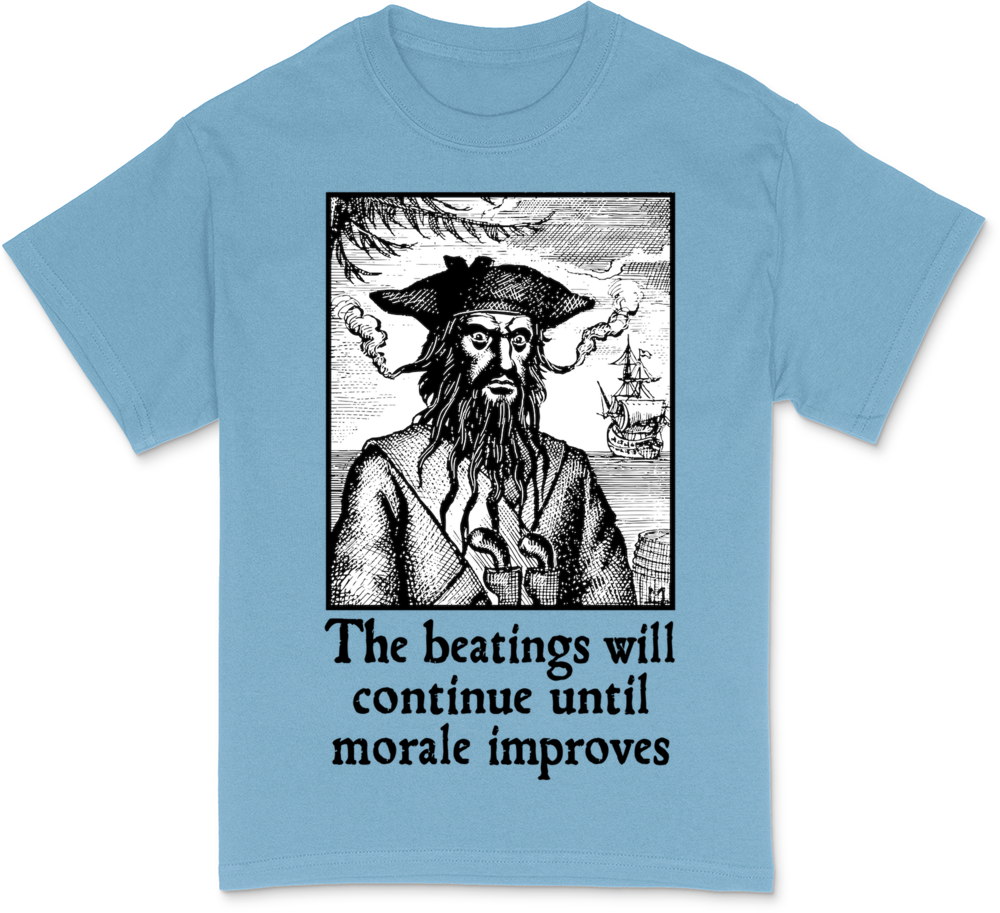 The Beatings Will Continue until Morale Improves Women's Deluxe T-Shirt