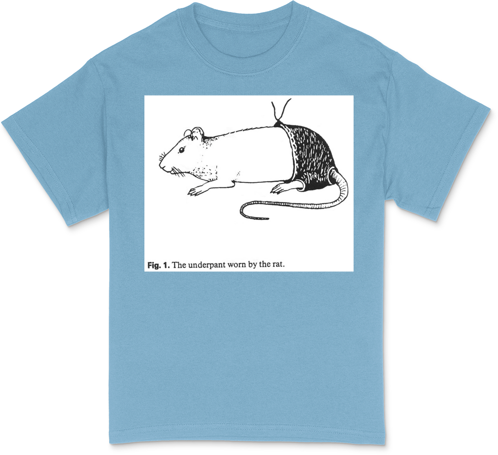Ash Grey T-Shirt
