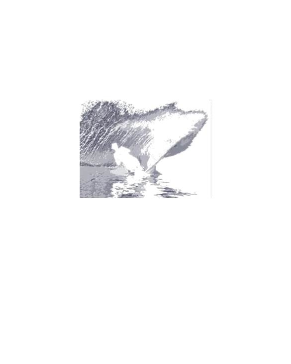 10x10_ski_cutout-blue Light T-Shirt