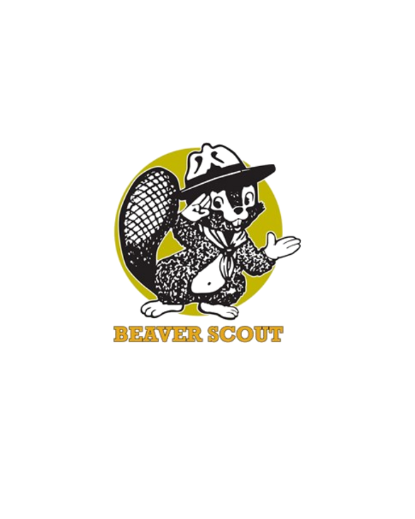 10x10BeaverScoutBlk