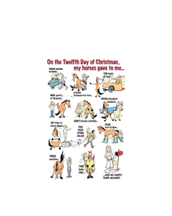 12 Days unisex tee shirt Light T-Shirt