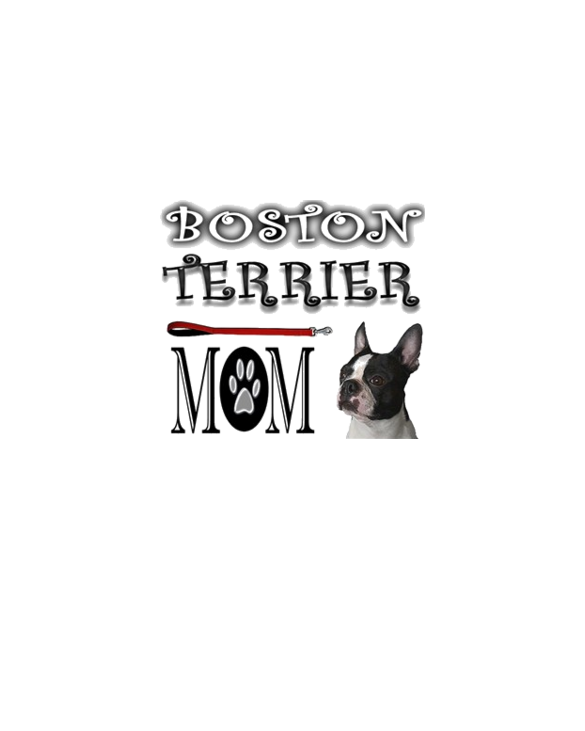 2BOSTONMOM