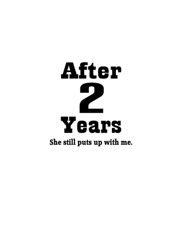 2nd Anniversary Funny Quote Light T-Shirt