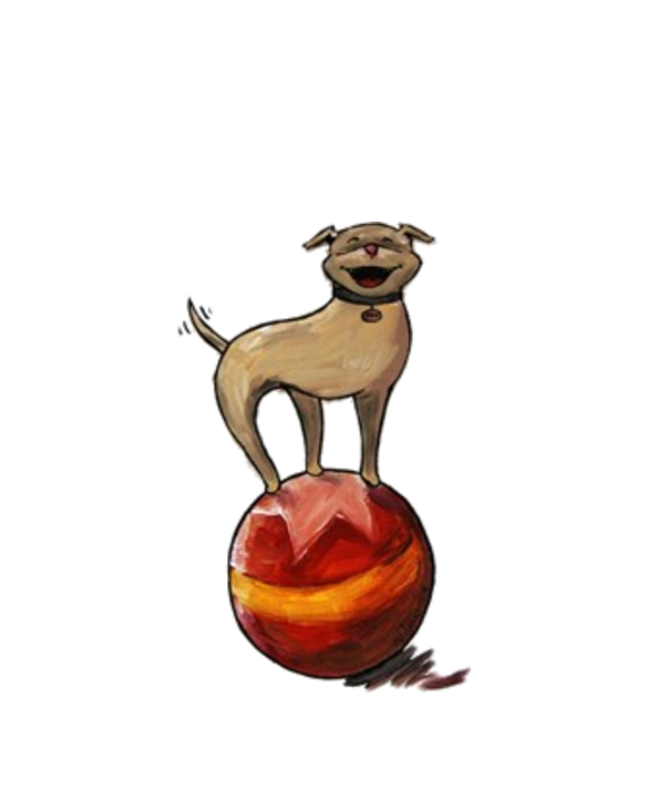 2-Sided Tripawds Have A Ball