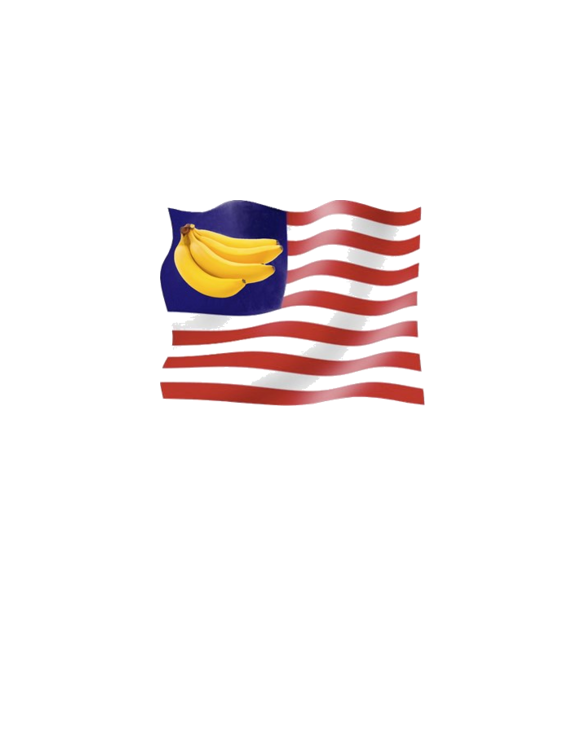 Banana Republic American Flag