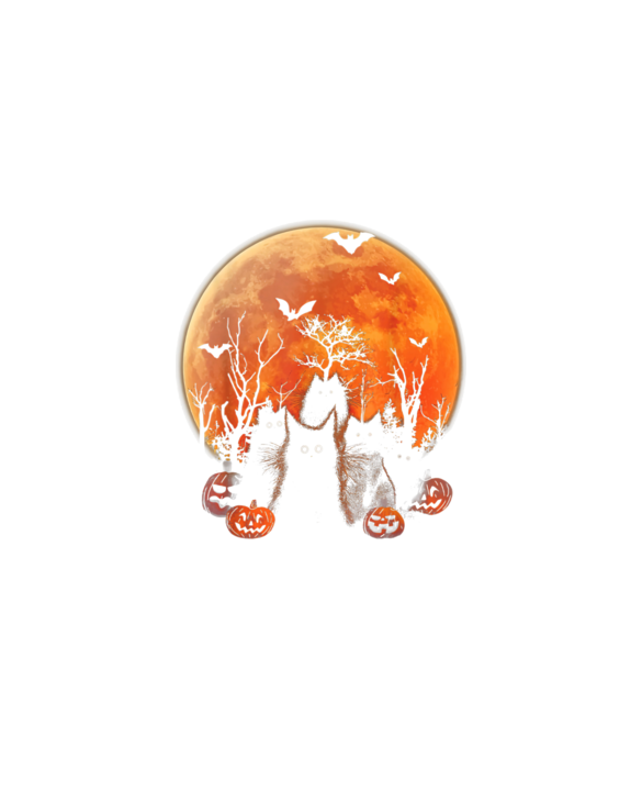 Black Cats Moon Pumpkin Funny Halloween Horror Gifts T-Shirt