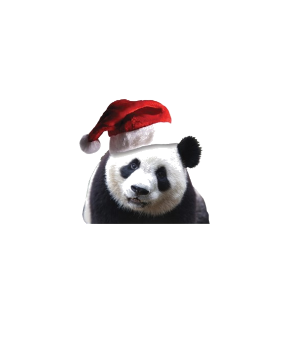 christmas panda wearing a santa clau