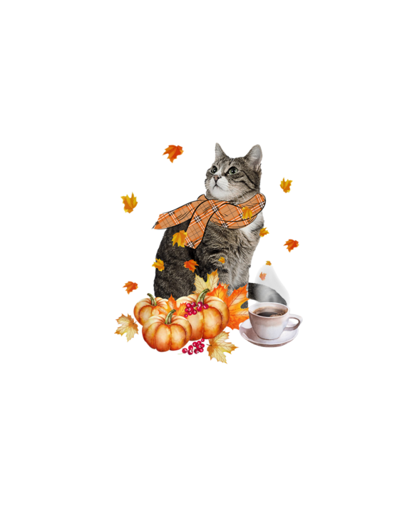 Cute Cat & Pumpkin Spice Funny Cat Lover Fall Thanksgiving T-Shirt