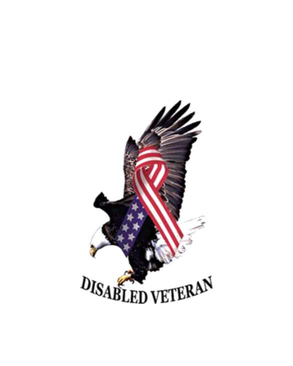 Disabled Veteran Eagle and Ribbon