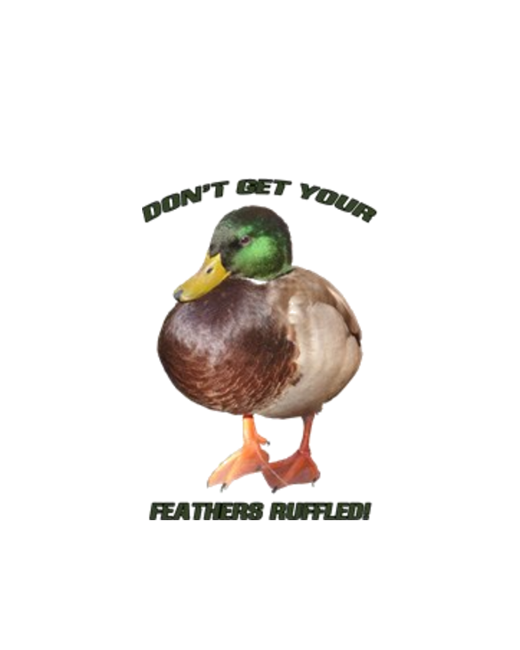 Duck