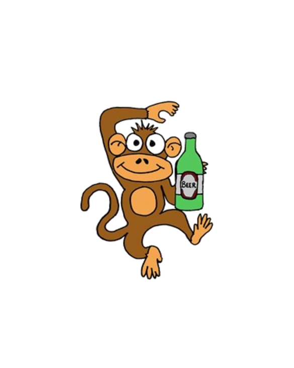Funny Monkey Drinking Beer