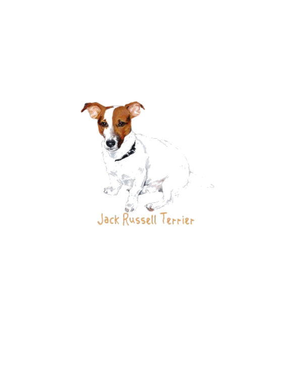 Jack Russell Terrier Painting