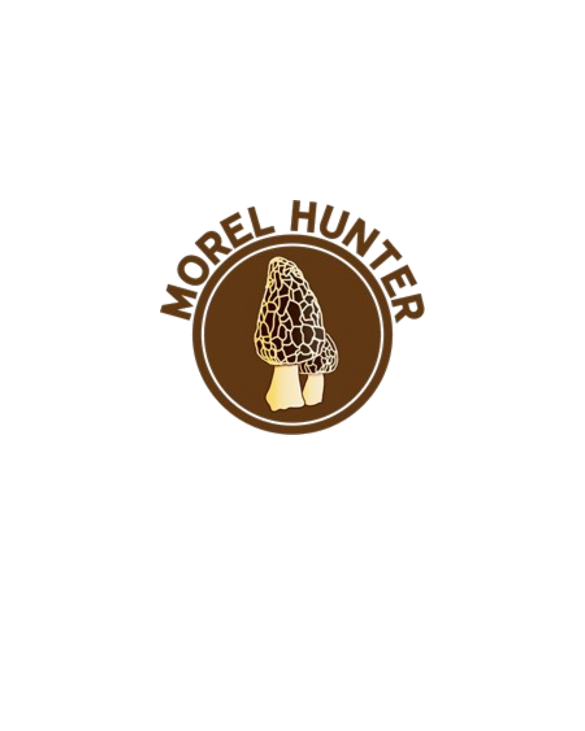 Morel Hunter
