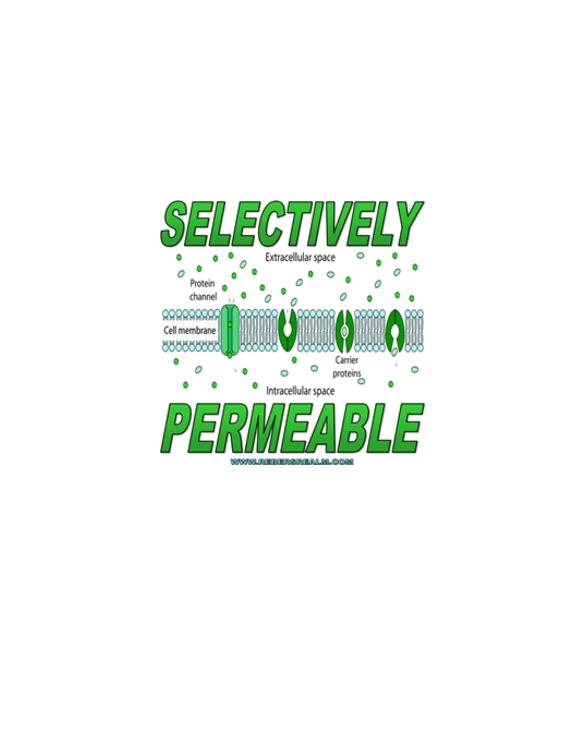 Selectively Permeable Cell Membrane T-Shirt