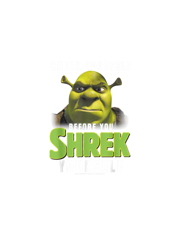 Shrek Check Yourself Before You Shrek Yourself T-Shirt