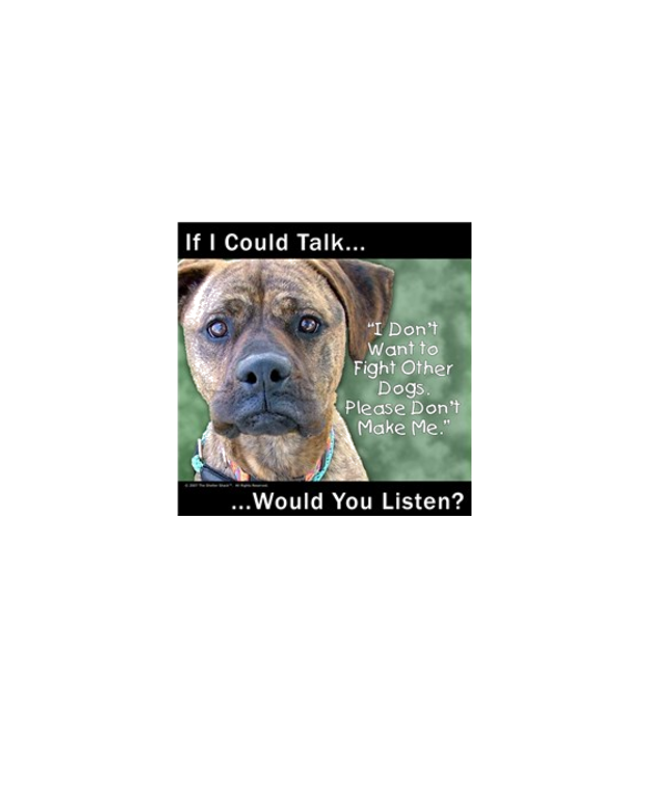 Stop Dog Fighting