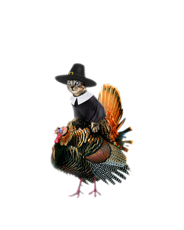 Thanksgiving Cat Pilgrim Costume Thanksgiving Turkey Gift T-Shirt