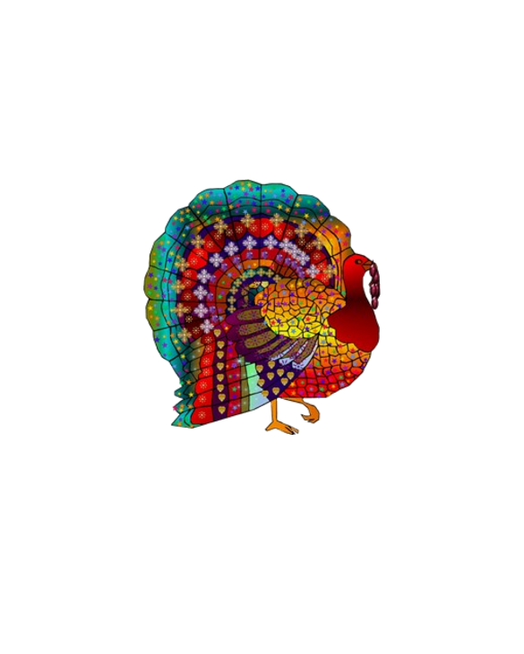 Thanksgiving Jeweled Turkey Long Sleeve T-Shirt