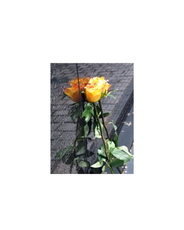 Vietnam Veterans Memorial Wall Rose