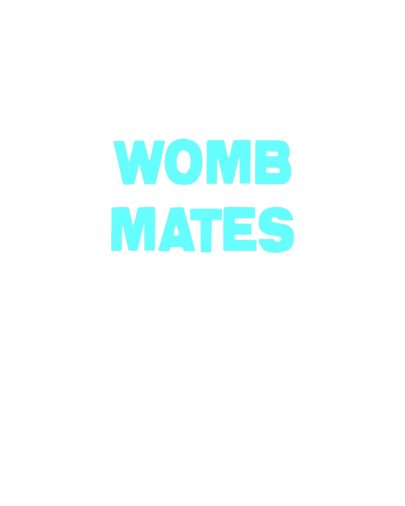 Womb Mates Light T-Shirt