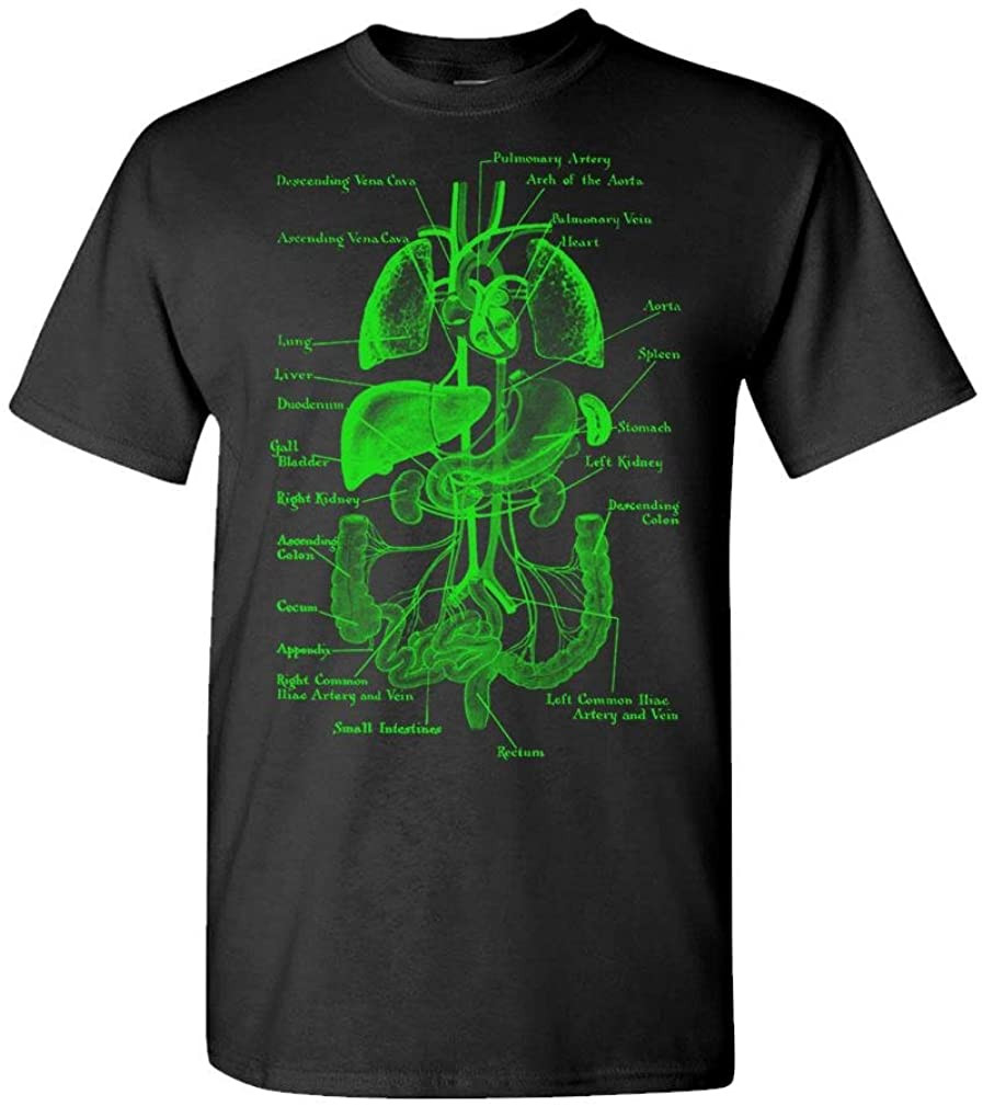 Human INNARDS - Anatomy Guts Skull Gore T-Shirt
