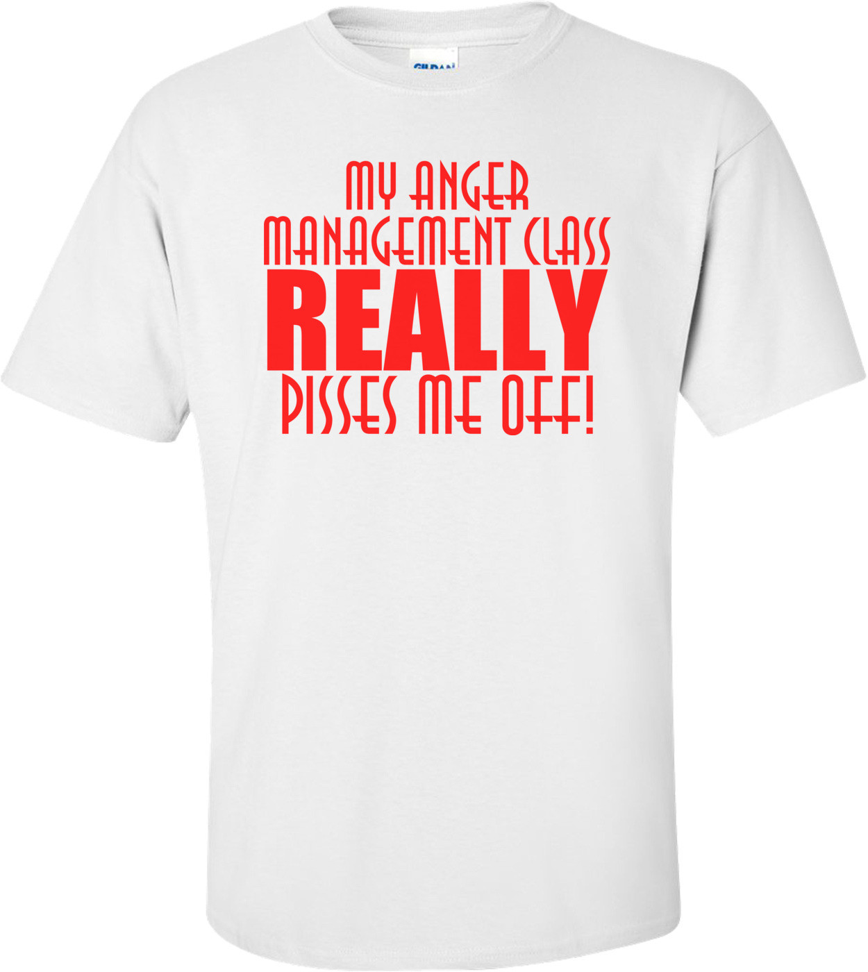 Anger Management Class Really Pisses Me Off