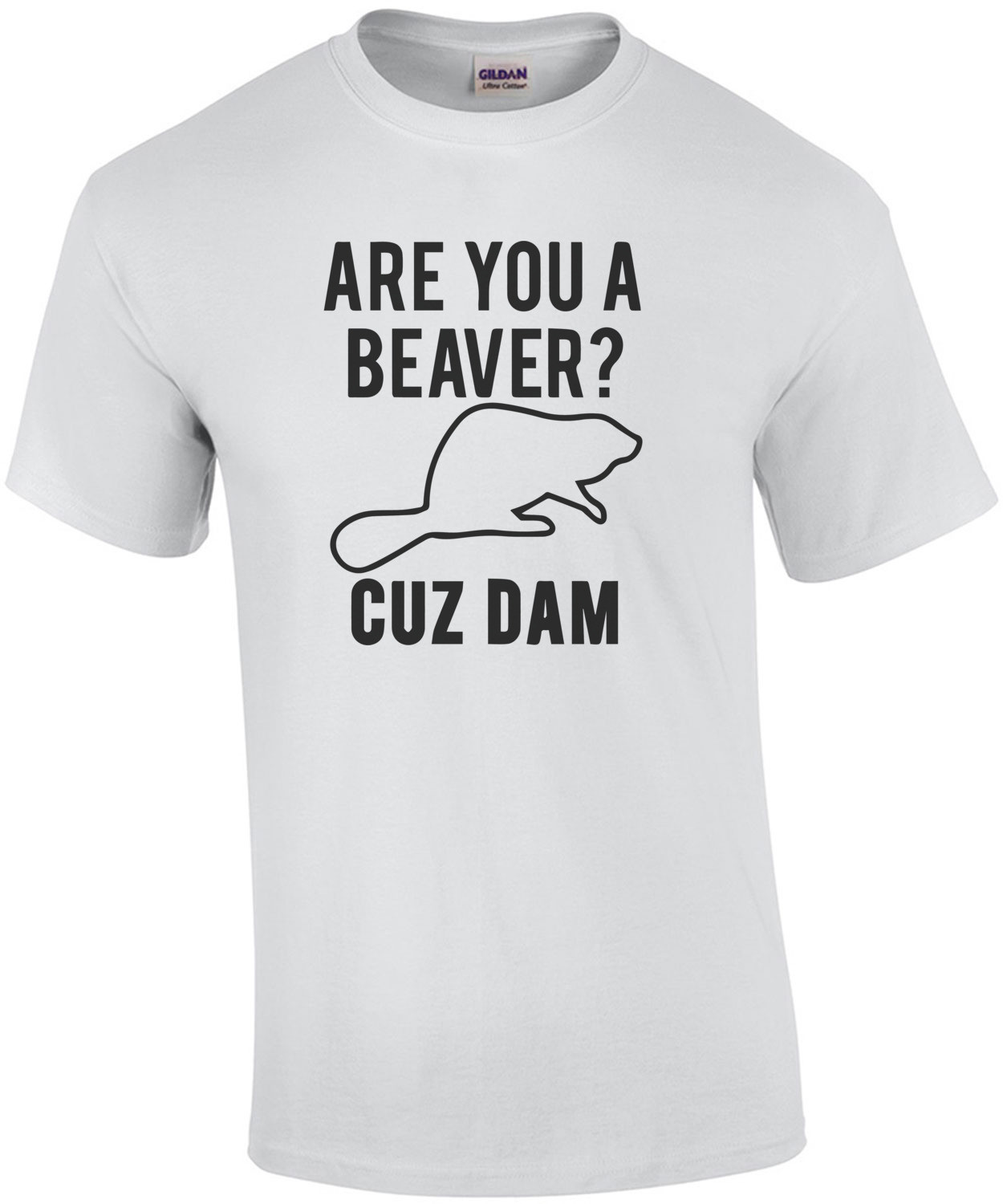 Are you a beaver? Cuz Dam