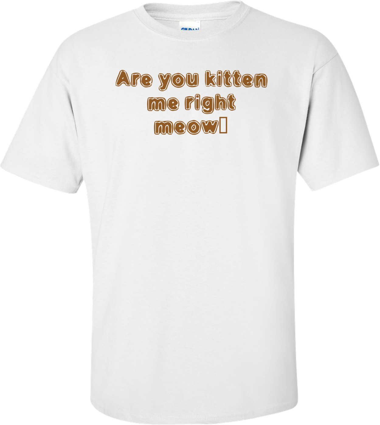 Are you kitten me right meow?