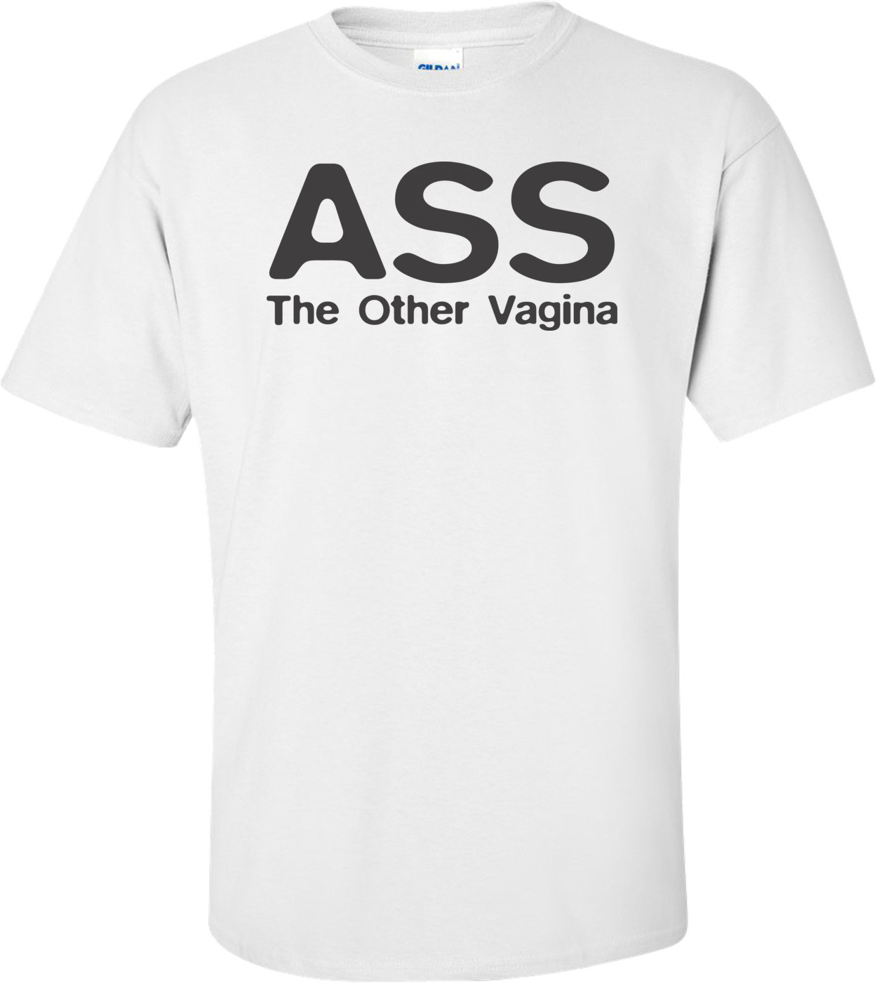 Ass The Other Vagina