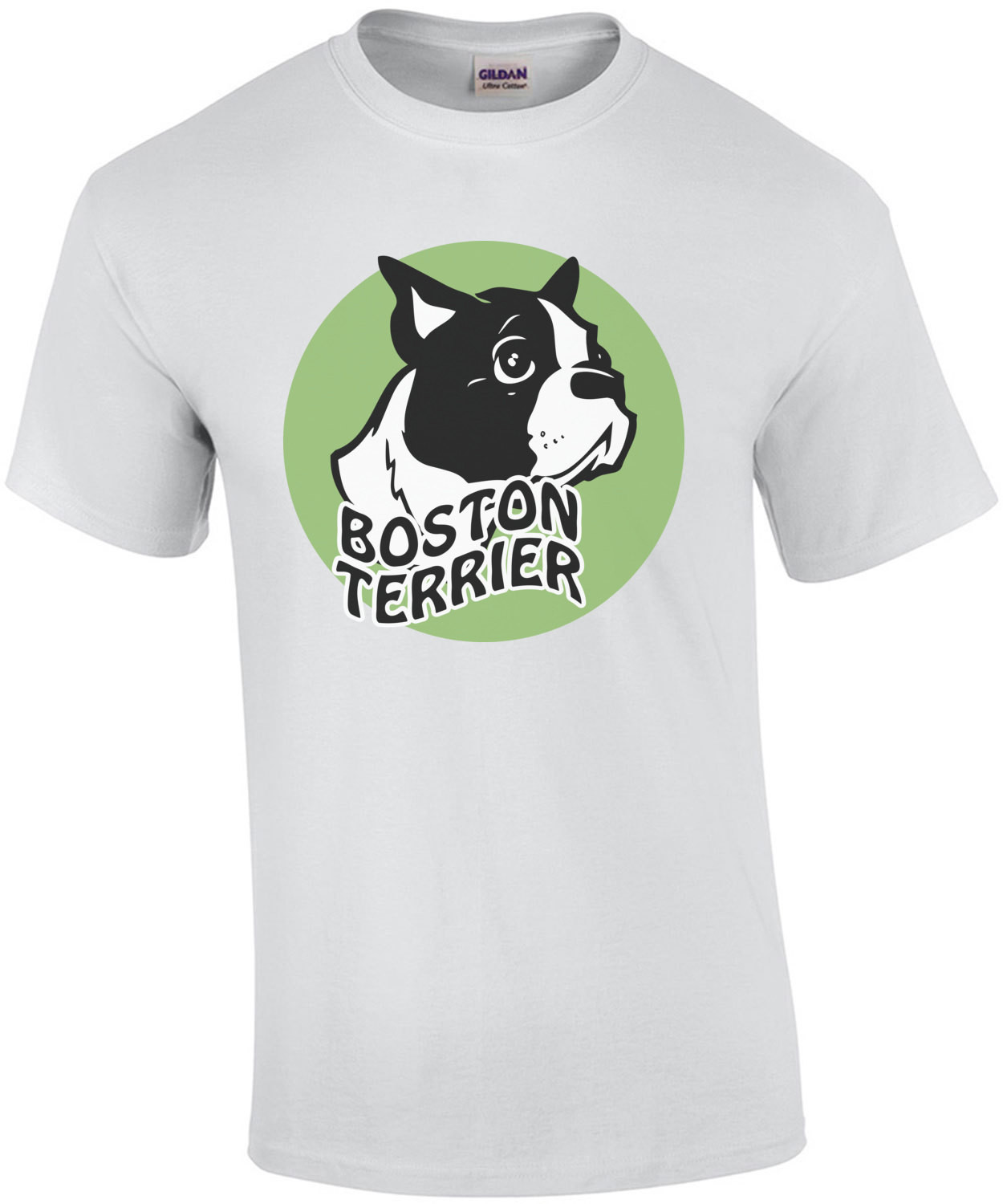 Boston Terrier
