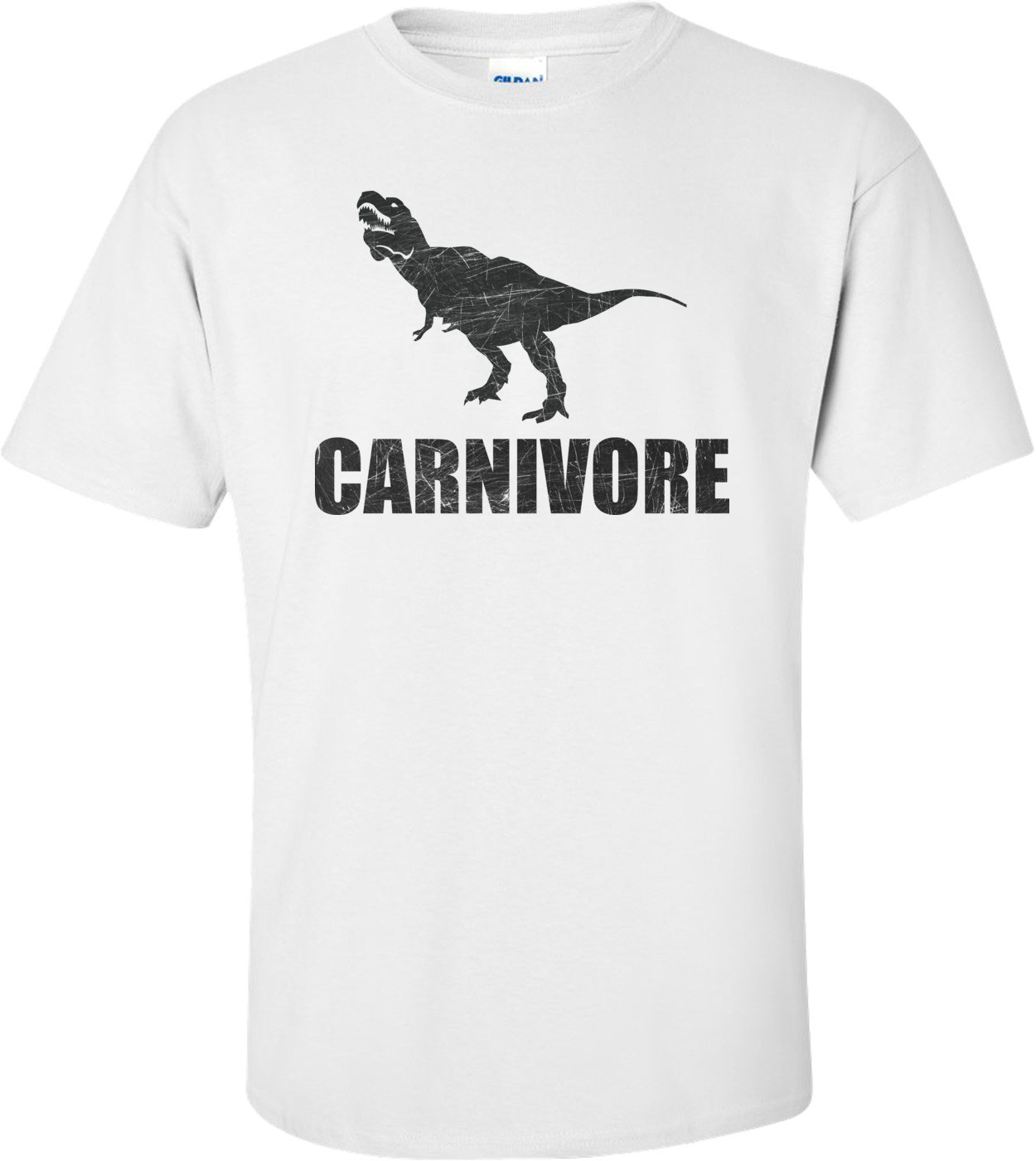 Carnivore Dinosaur