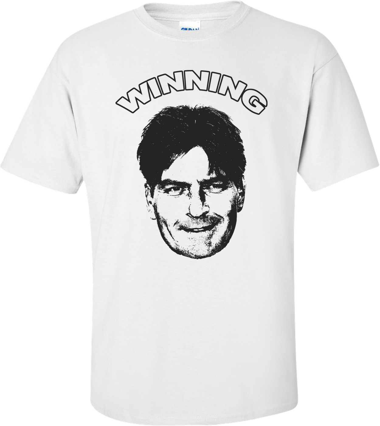 Charlie Sheen Winning