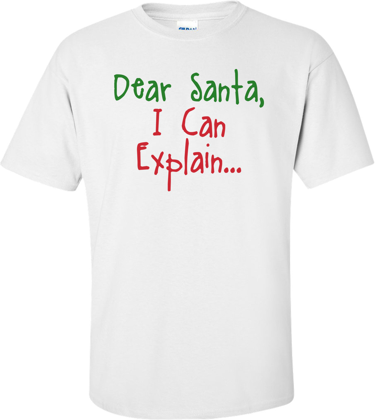 Dear Santa I Can Explain