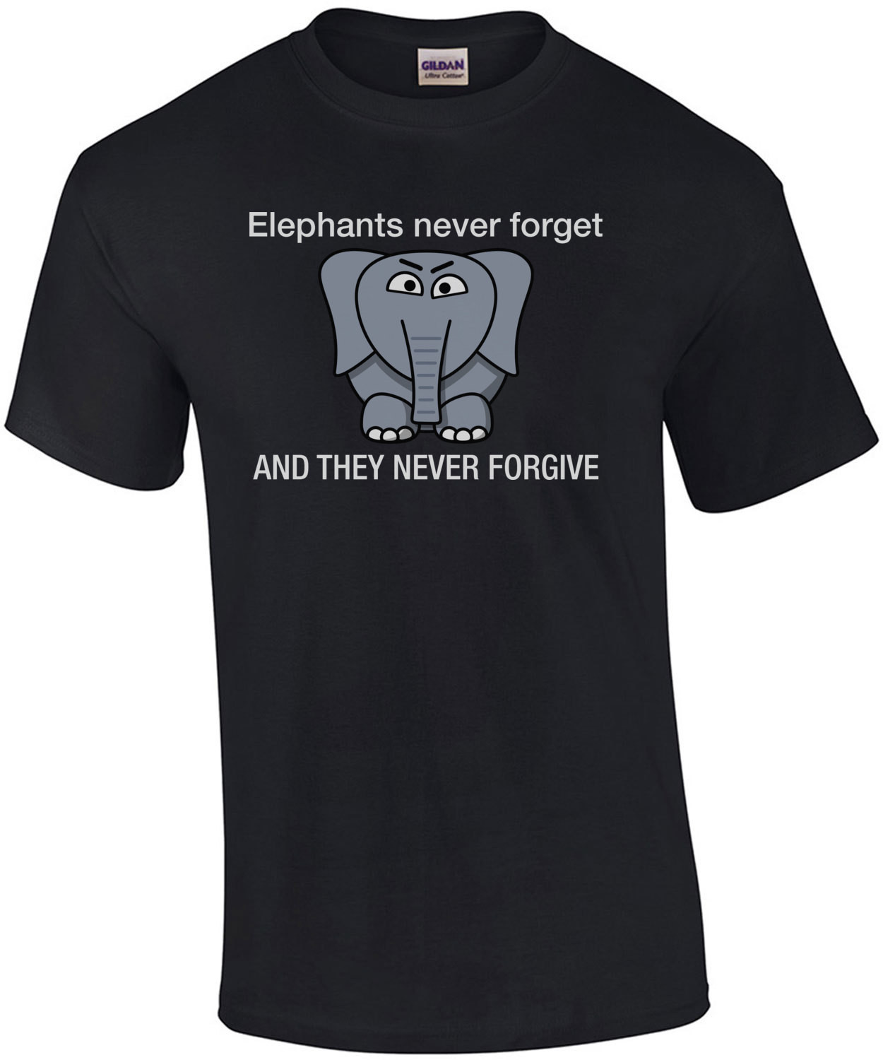 Elephants never forget and they never forgive