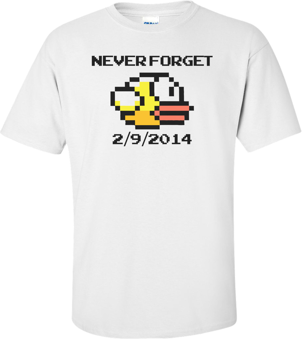Flappy Birds Never Forget