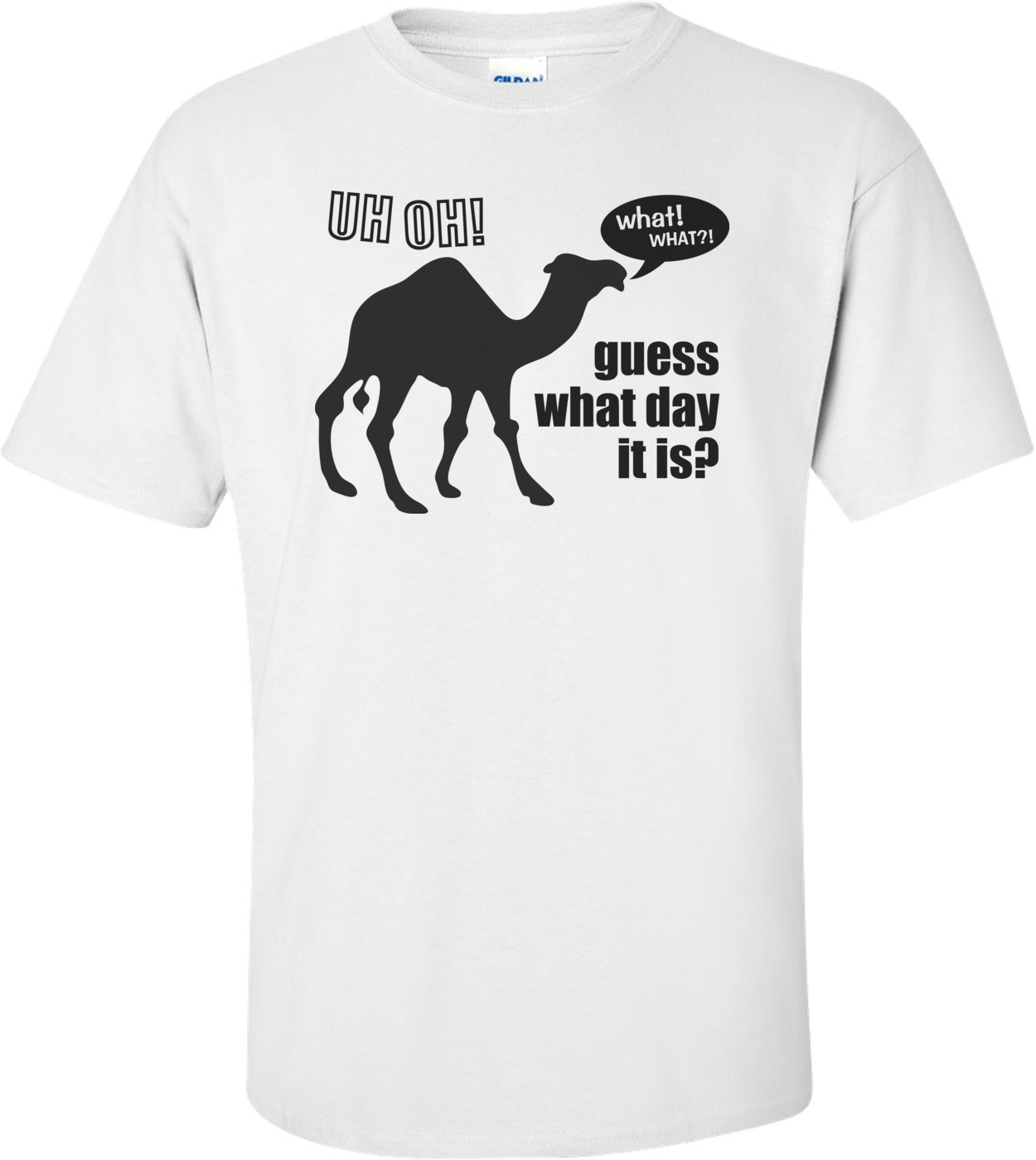 Guess What Day It Is Hump Day Camel