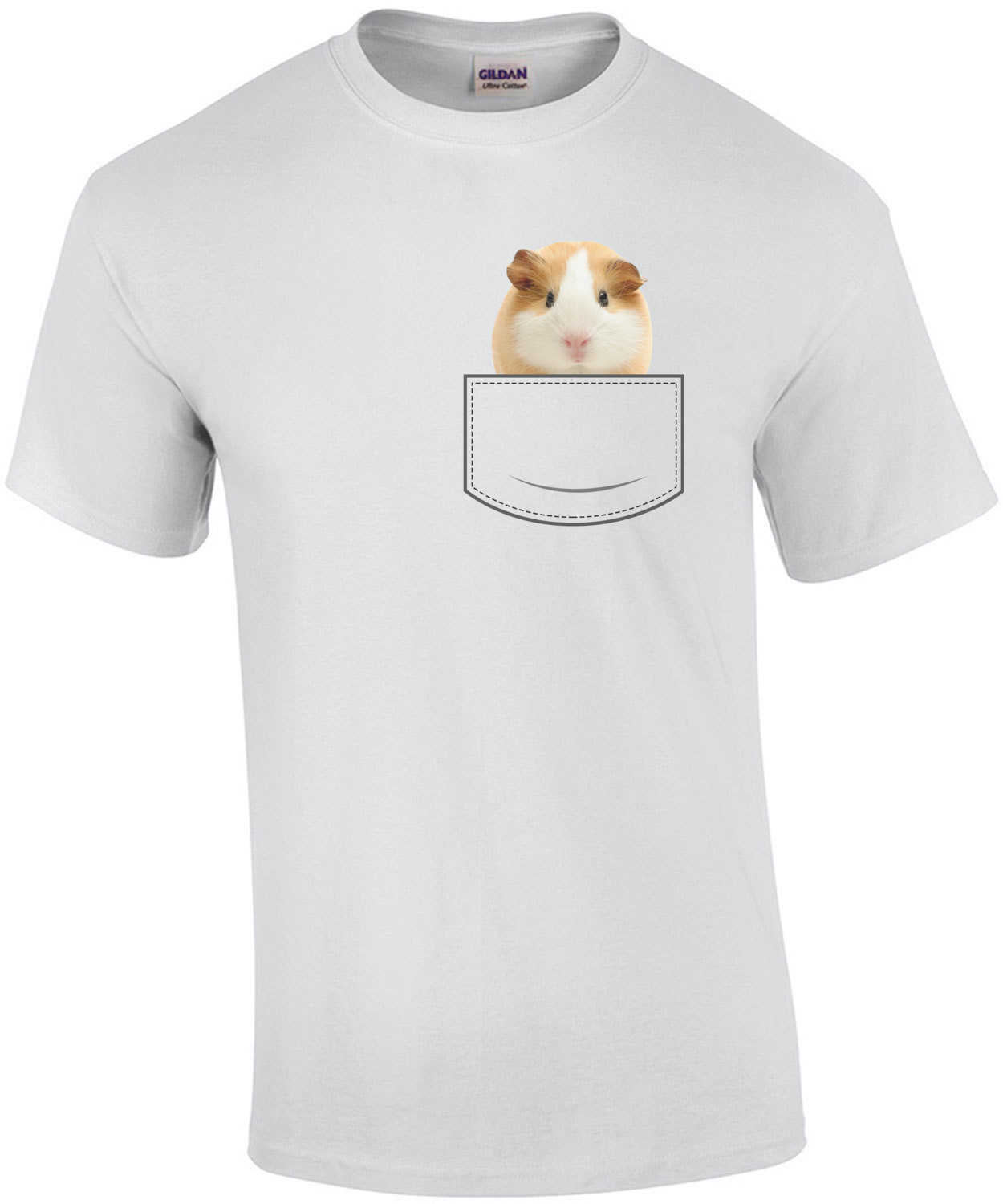 Guinea Pig in pocket - pocket pet