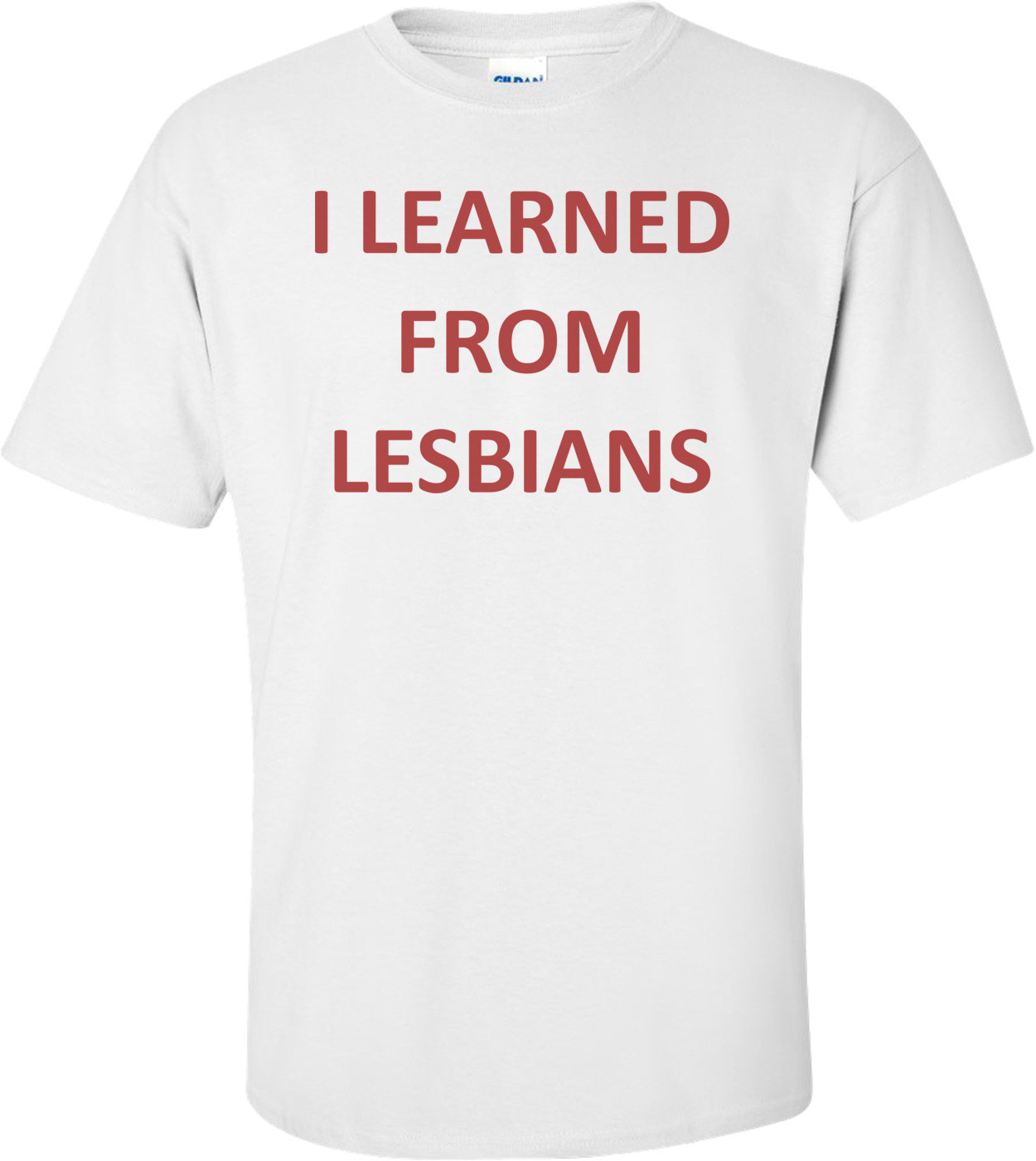 I LEARNED FROM LESBIANS