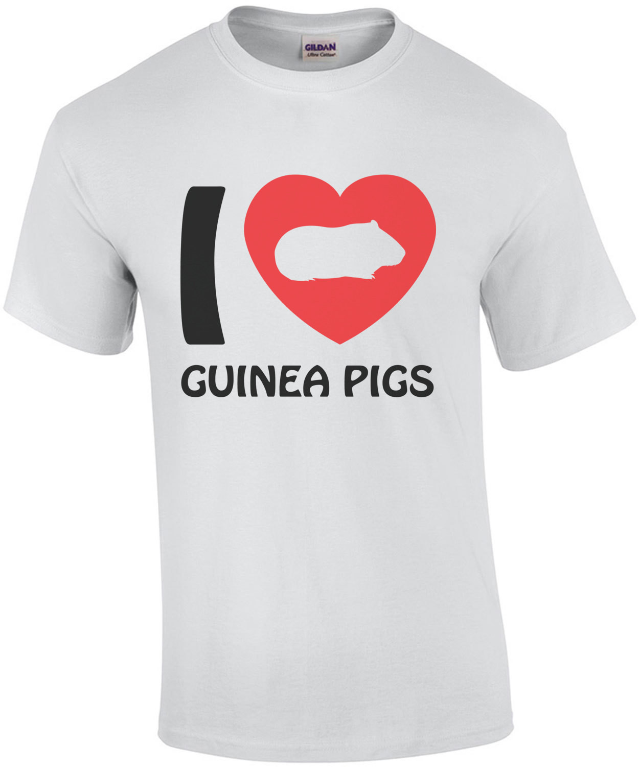 I love guinea pigs - guinea pig