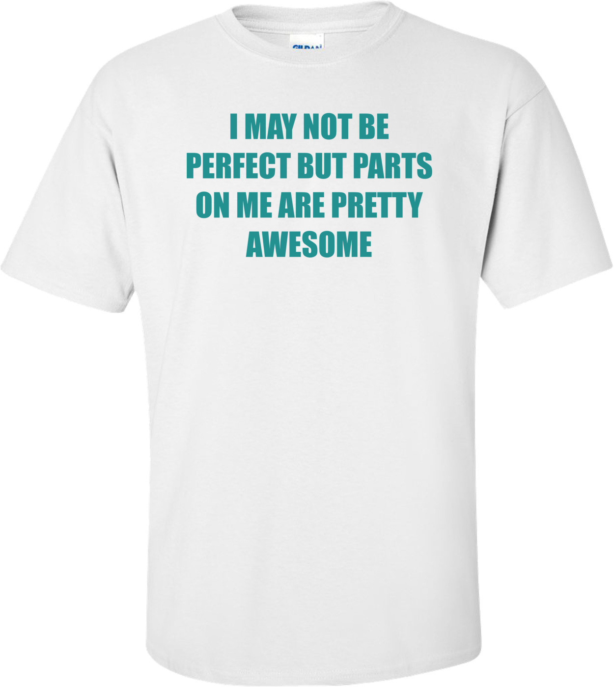 I MAY NOT BE PERFECT BUT PARTS ON ME ARE PRETTY AWESOME
