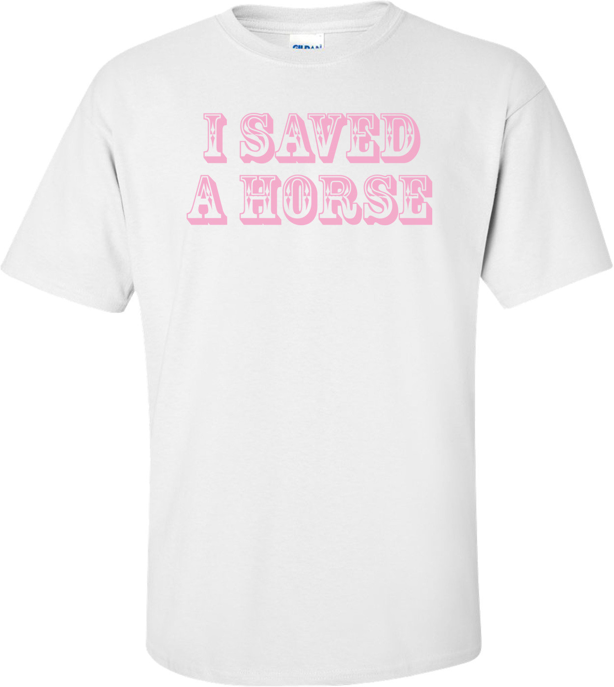 I Saved A Horse