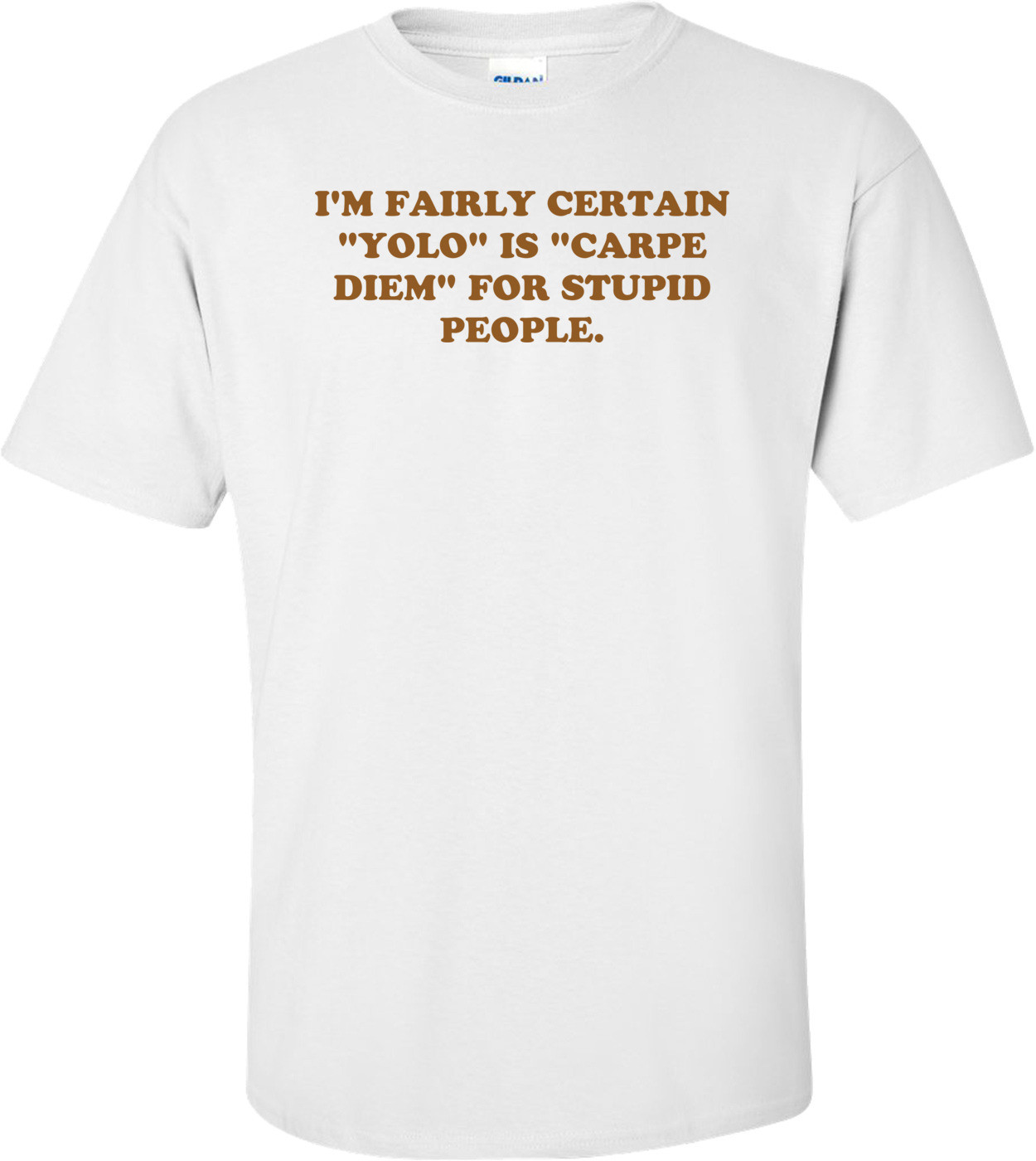 I'M FAIRLY CERTAIN "YOLO" IS "CARPE DIEM" FOR STUPID PEOPLE.