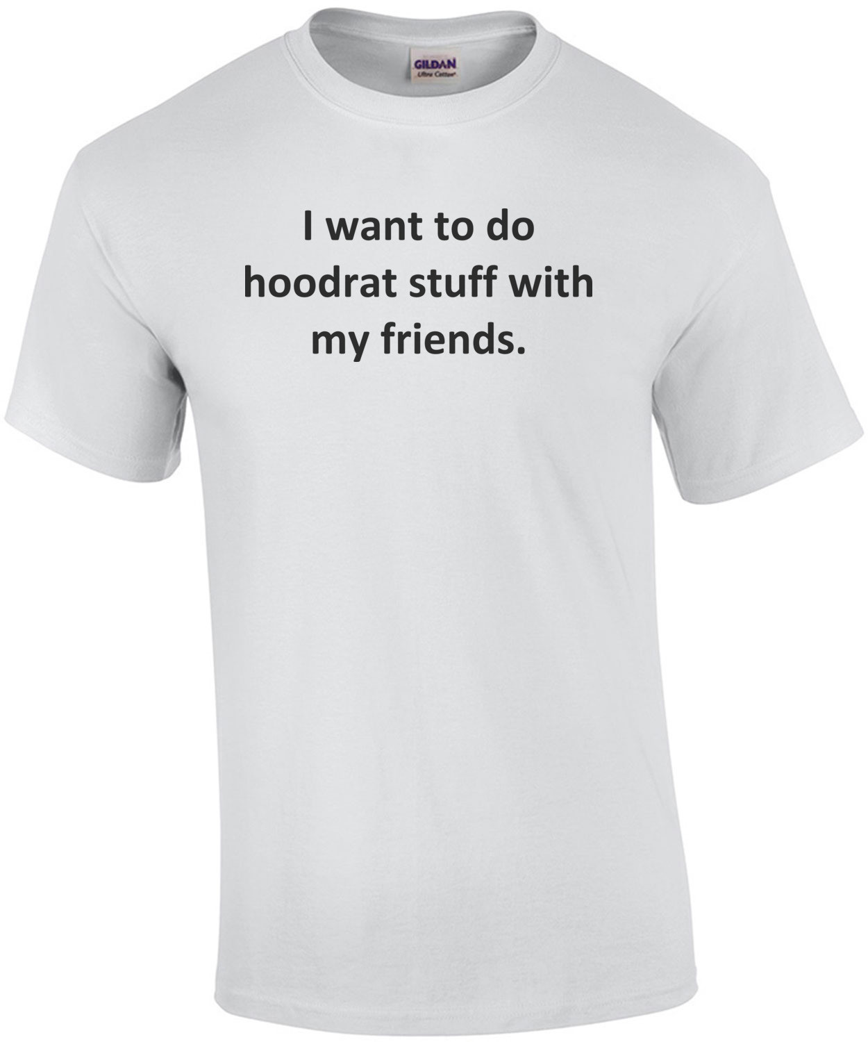 I want to do hoodrat stuff with my friends. Funny Internet 