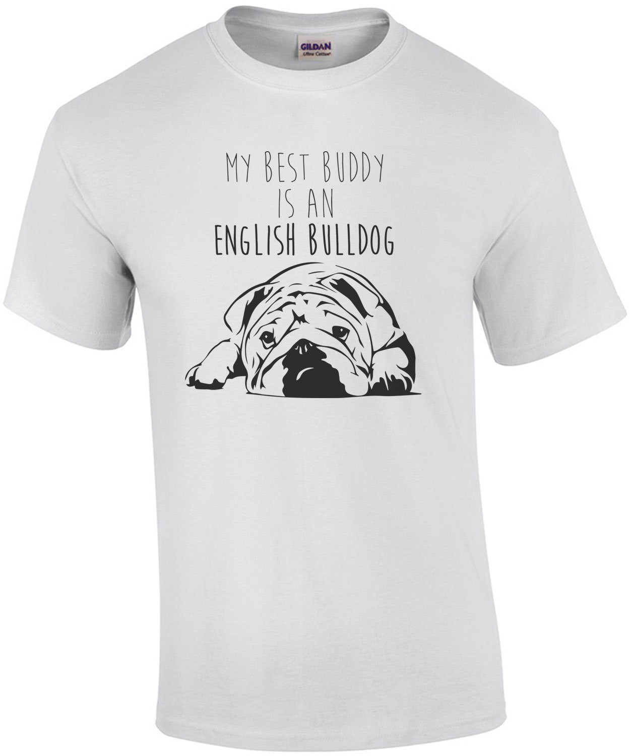 My best buddy is an english bulldog - bulldog / english bulldog