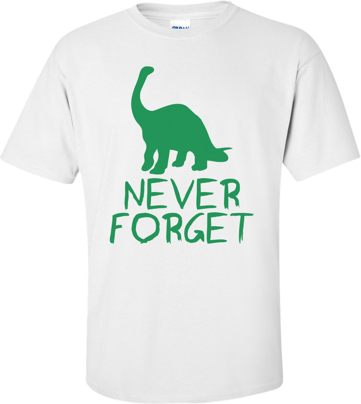 Never Forget The Dinosaurs