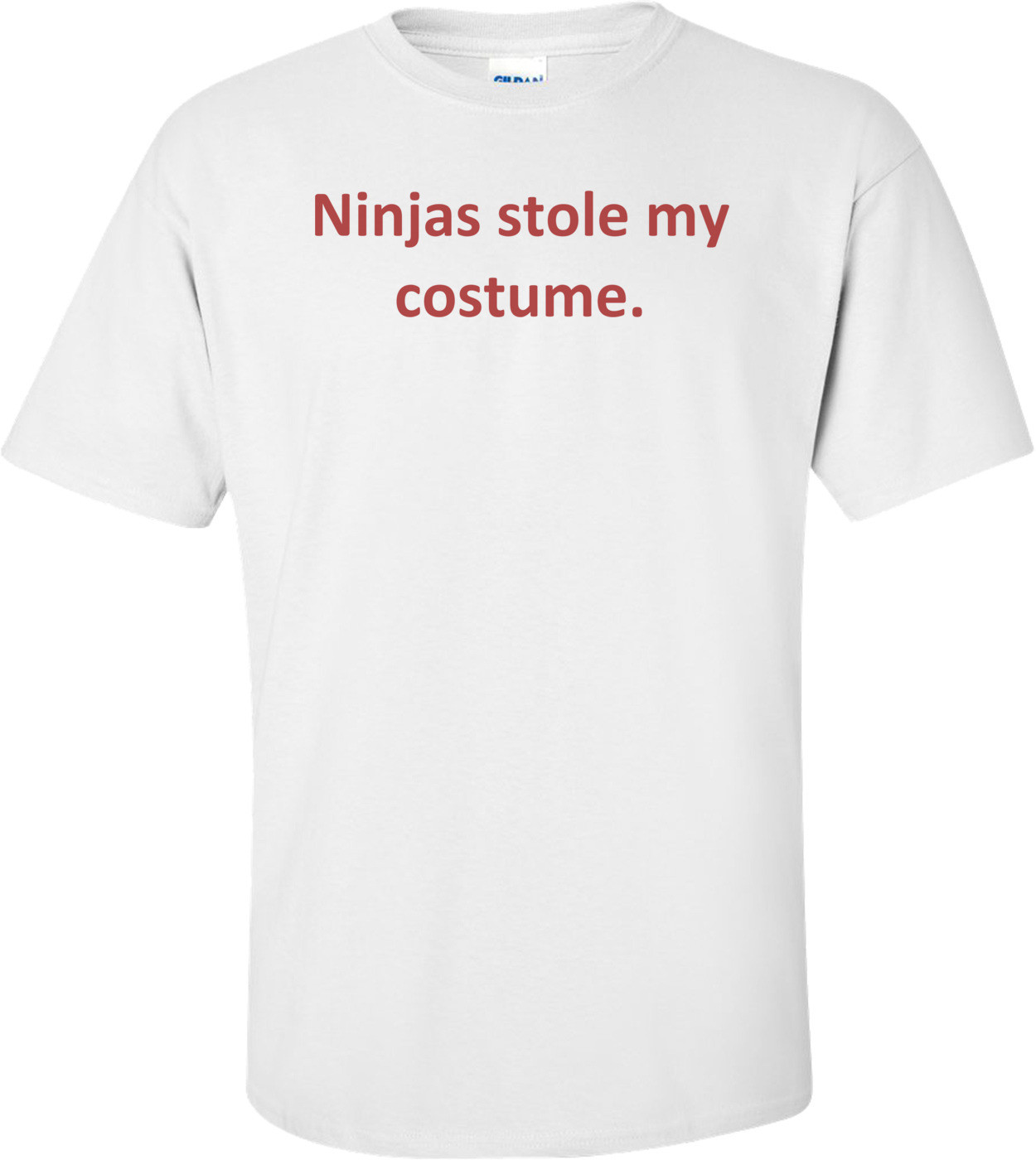 Ninjas stole my costume.