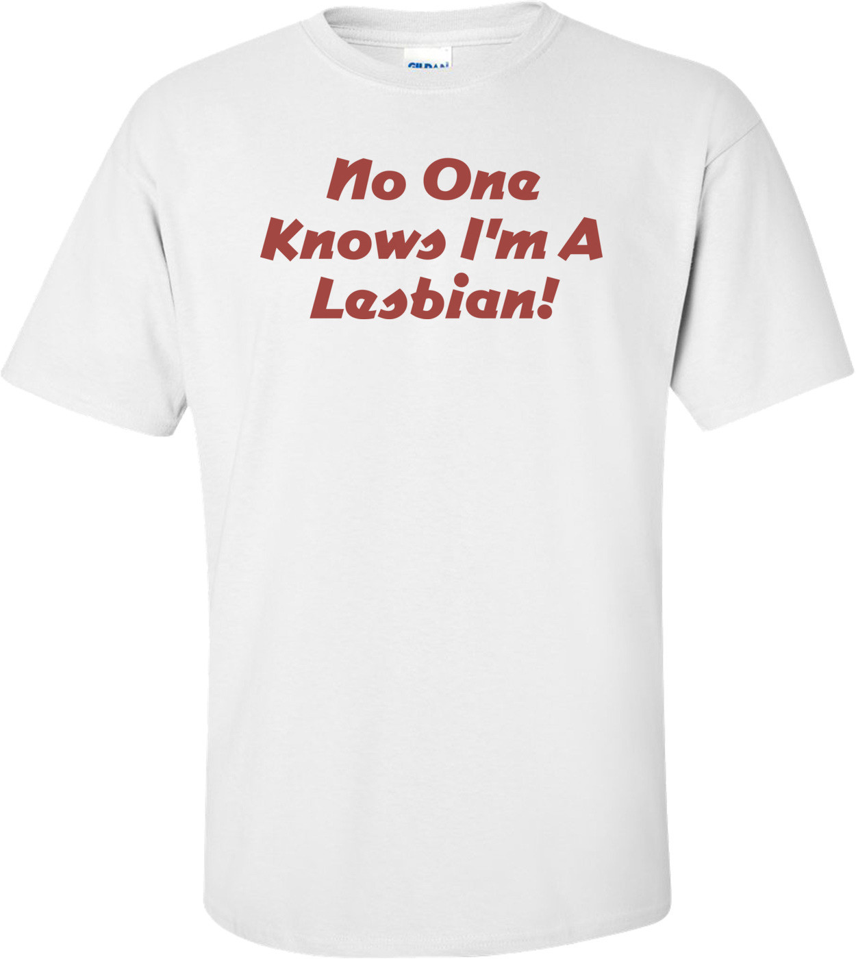 No One Knows I'm A Lesbian 