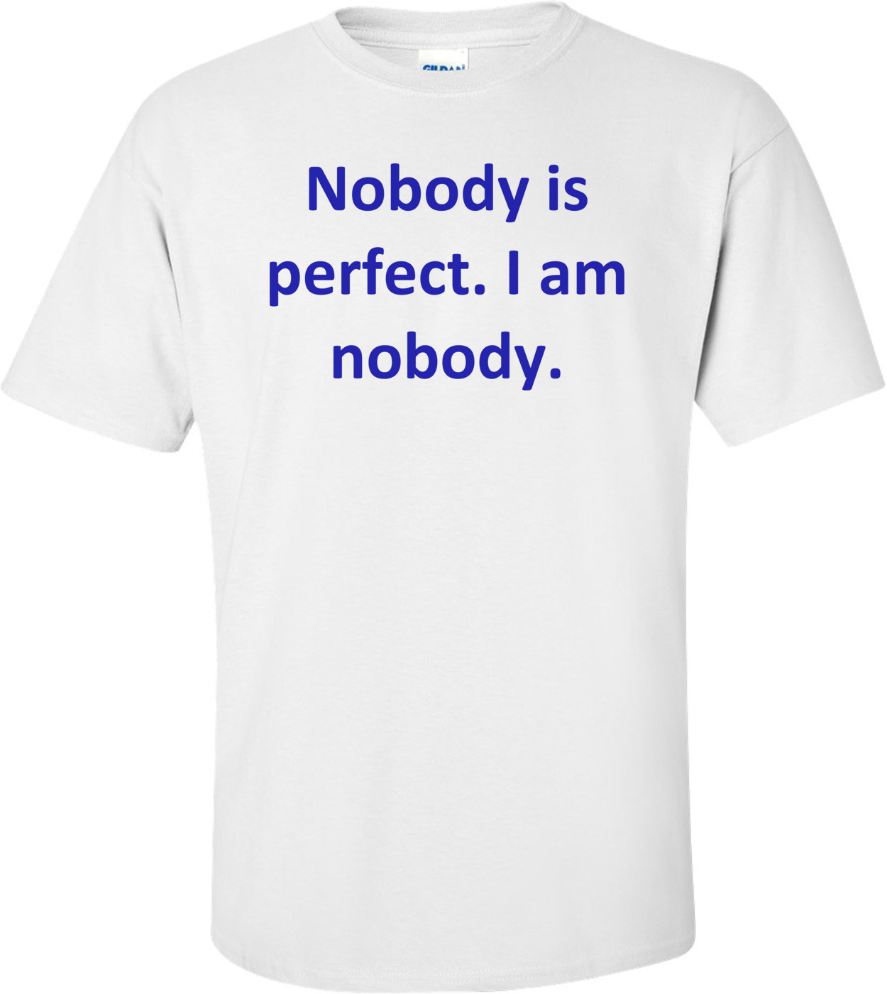 Nobody is perfect. I am nobody.