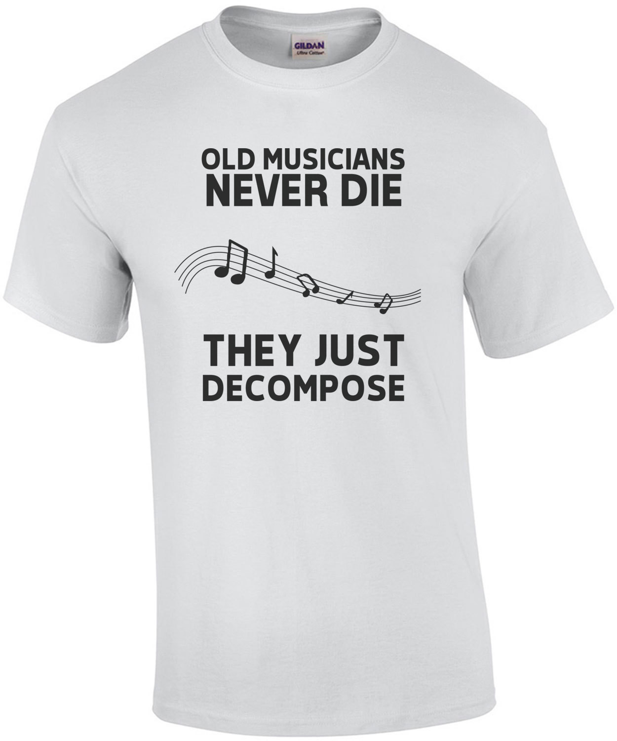 Old Musicians never die they just decompose - funny musician