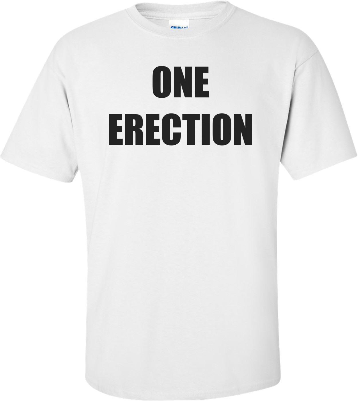 ONE ERECTION